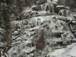 Cloudland Falls