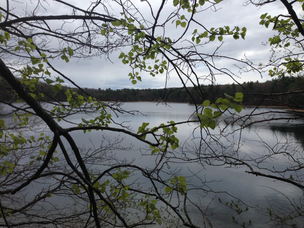 Walden Pond